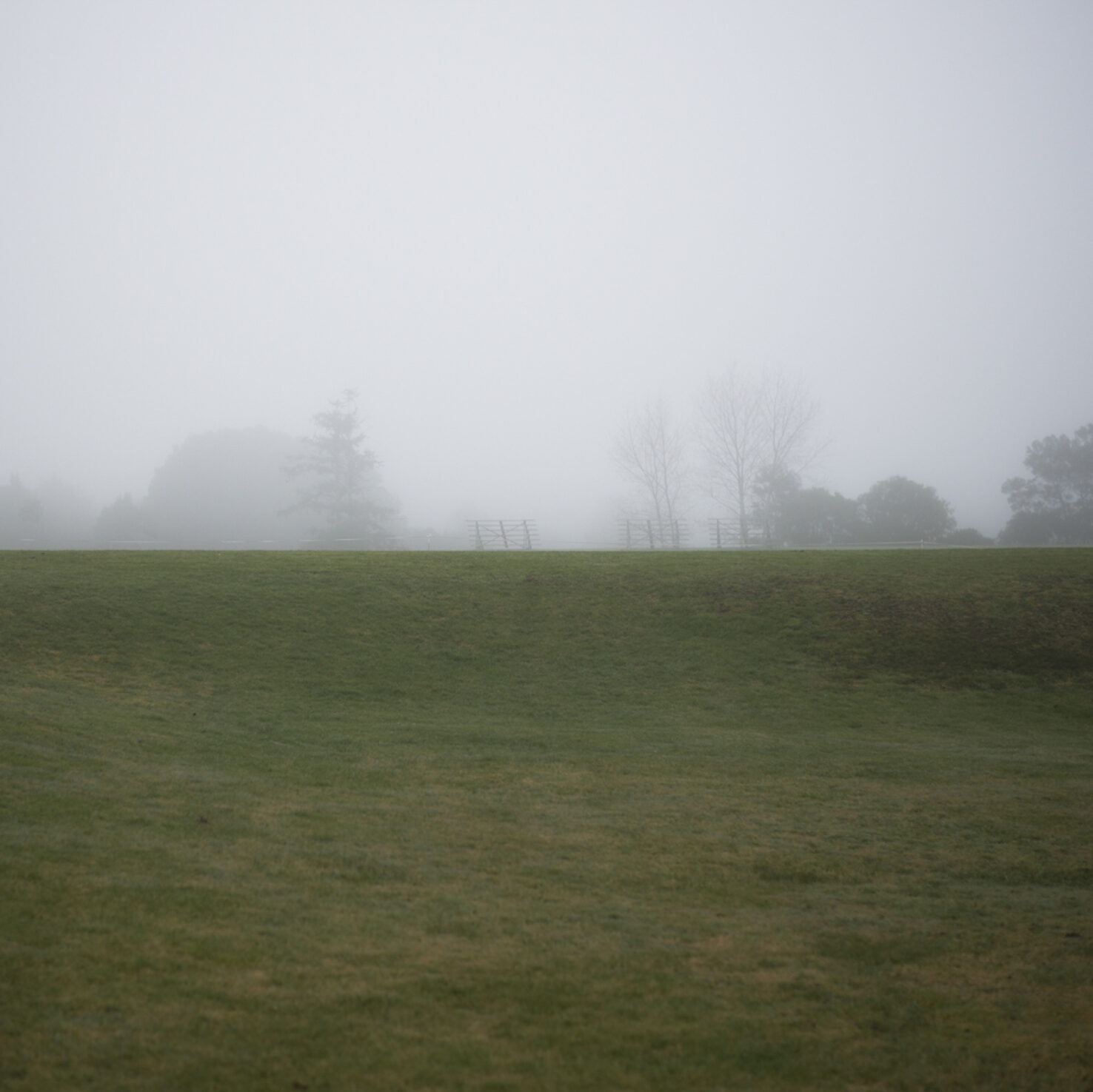 Grey Lynn July