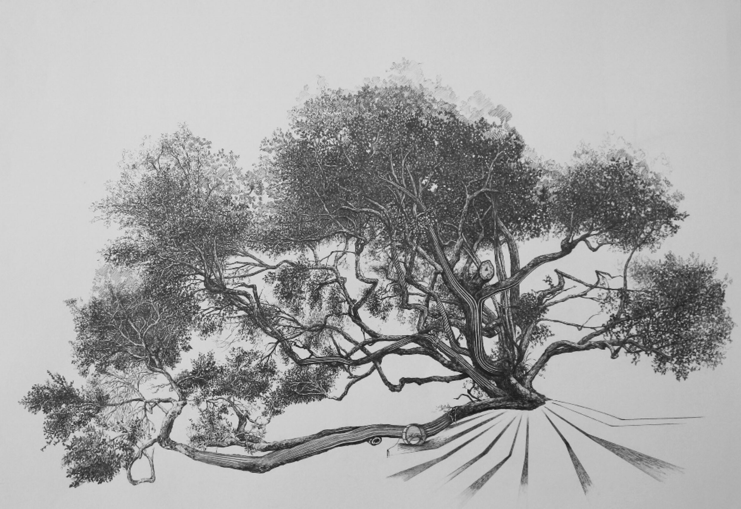 Moisture Tree Drawing 1024X703