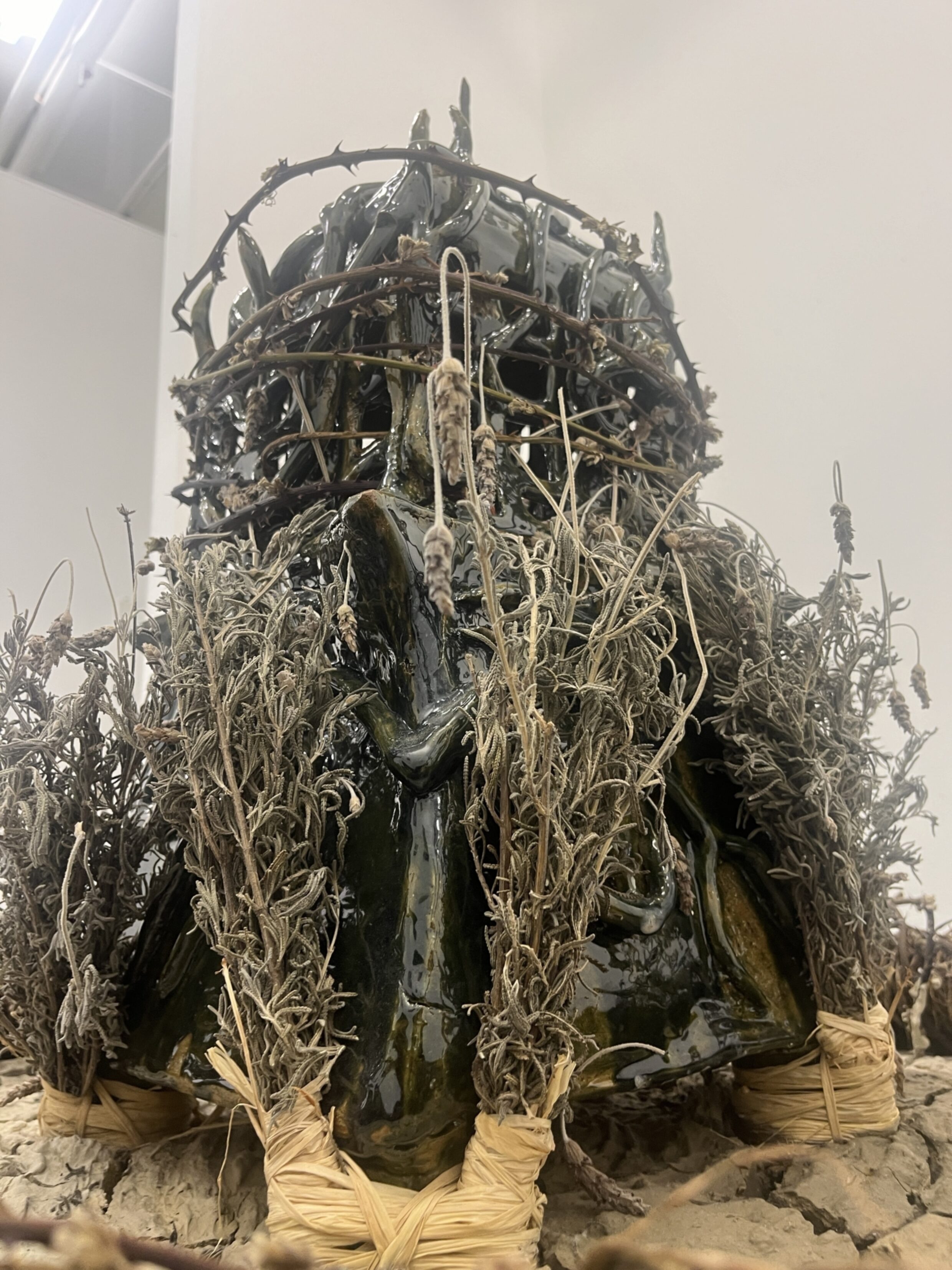 IMG 7380