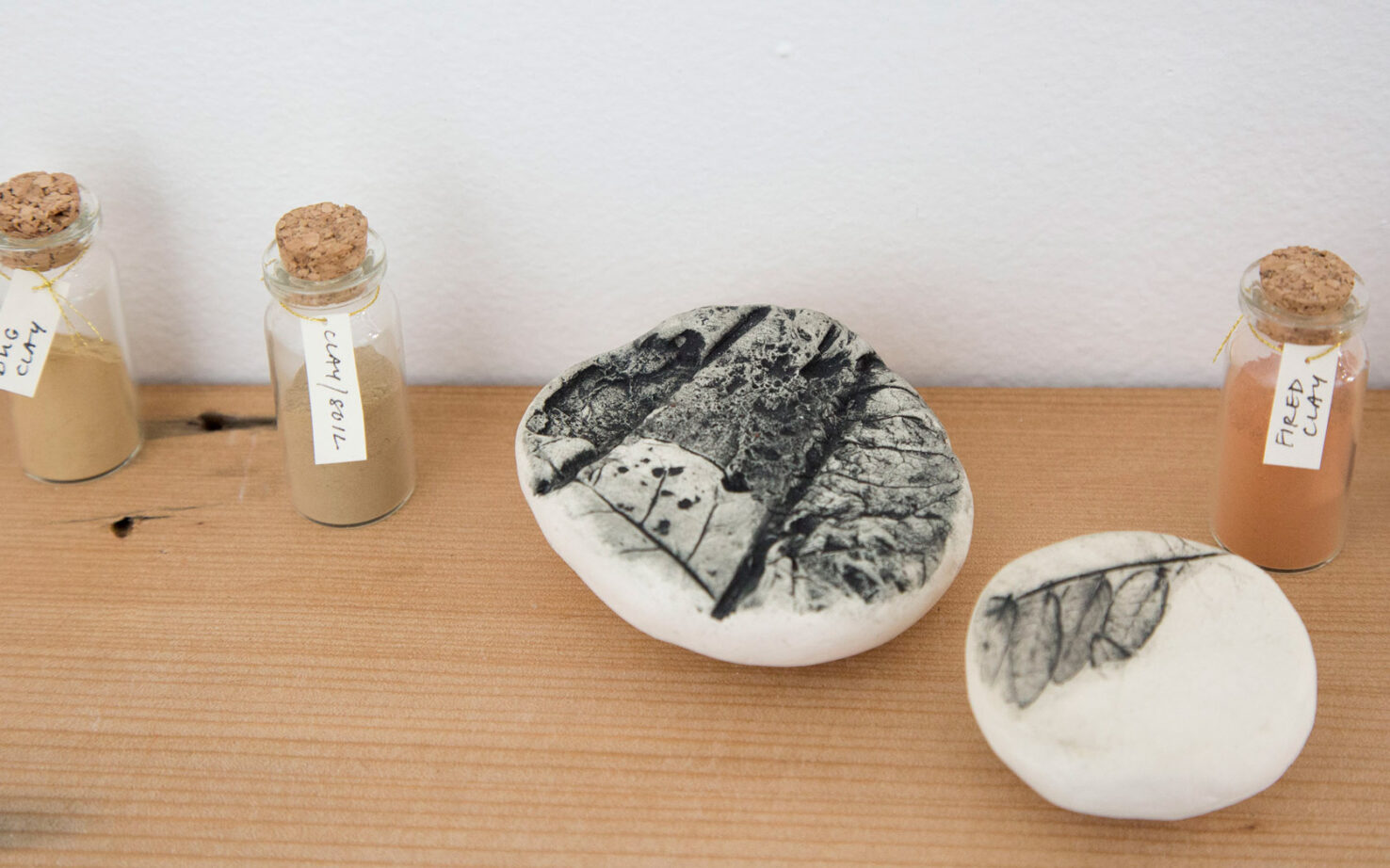 Lara Thomas Field Notes Pigments And Impressions