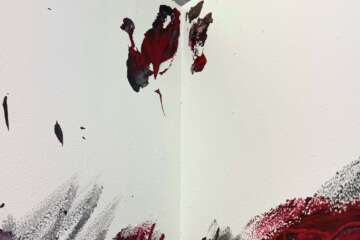 IMG 3261 closeup1